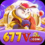 677v 677v