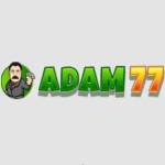 adam77 adam77
