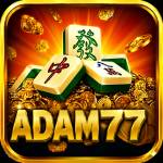 adam77 adam77