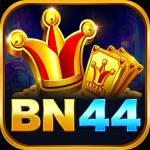 bn4 bn4