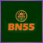 bn55 bn55