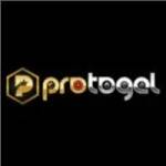 protogel protogel