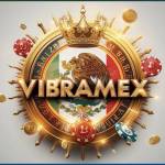vibramex vibramex
