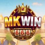 mkwin666 mkwin666
