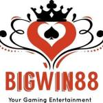 bigwin88 bigwin88
