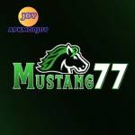 mustang77 mustang77