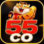 55co 55co