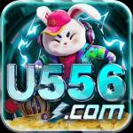 u556 u556