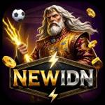 newidn newidn