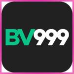 bv999 bv999