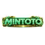mintoto mintoto