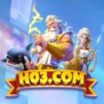 h03 h03