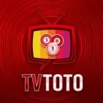 tvtoto tvtoto