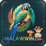 macawwin macawwin