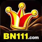 bn11 bn11