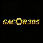 gacor305 gacor305