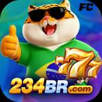 234br 234br