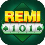 remi101 remi101