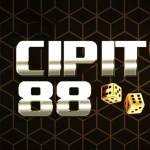 cipit88 cipit88