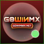 gowinmx gowinmx