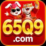 65q9 65q9