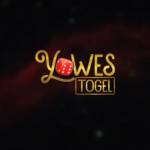 yowestogel yowestogel