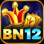 bn12 bn12