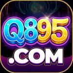 q895 q895
