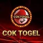 coktogel coktogel
