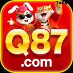 q87 q87