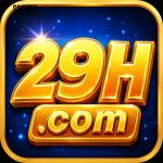 29h 29h