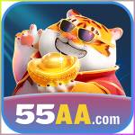 55aa 55aa