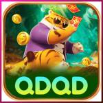qdqd qdqd