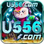 u556 u556