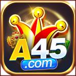 a45 a45